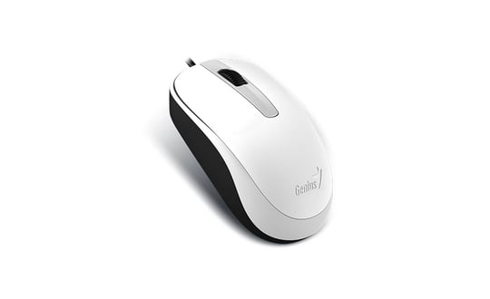 Myš Genius DX-120, USB (31010105107)