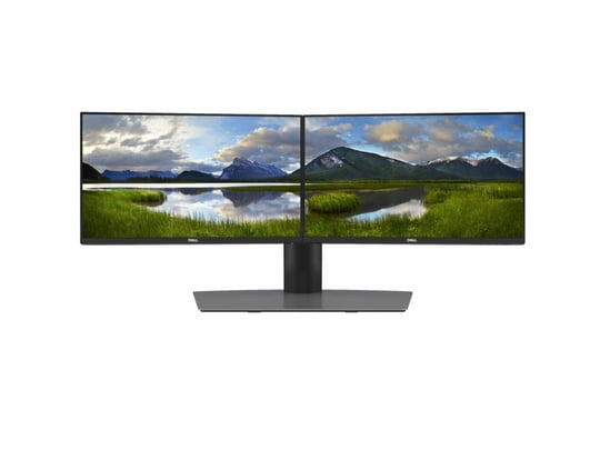Monitor Dell 2x Professional P2419H with MDS19 Dual Monitor Stand