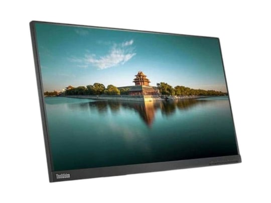 Monitor Lenovo ThinkVision T24i-10 (Without Stand)
