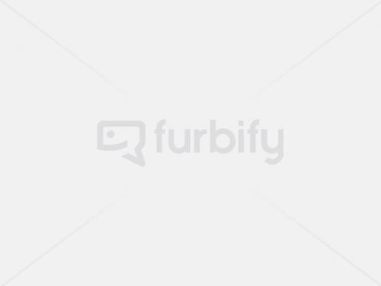 Dell Latitude 5310 - 15219534 #5
